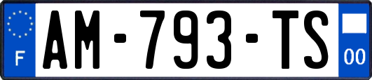 AM-793-TS