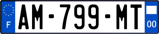 AM-799-MT