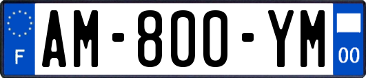 AM-800-YM