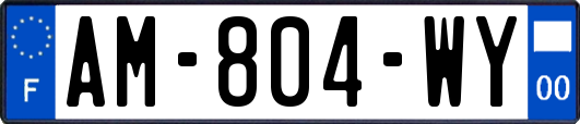 AM-804-WY