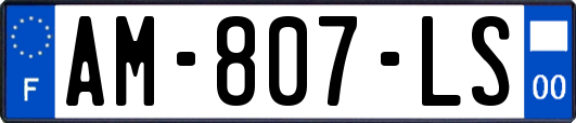 AM-807-LS