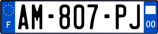 AM-807-PJ