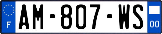 AM-807-WS
