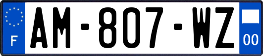 AM-807-WZ