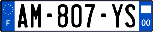AM-807-YS