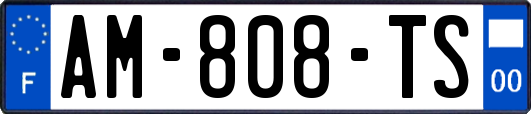 AM-808-TS
