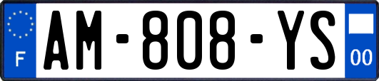 AM-808-YS