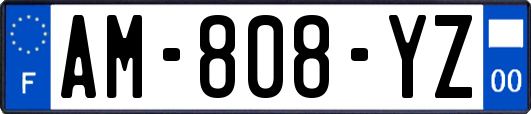 AM-808-YZ