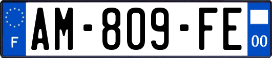 AM-809-FE