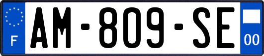 AM-809-SE