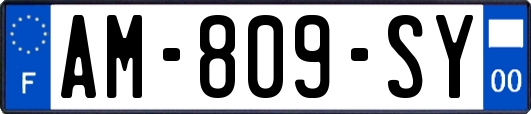 AM-809-SY