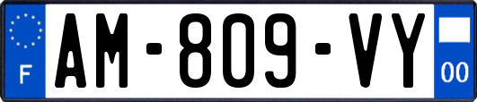 AM-809-VY