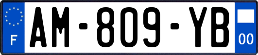 AM-809-YB