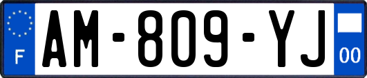 AM-809-YJ