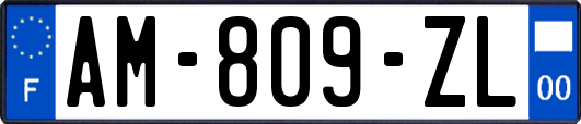 AM-809-ZL