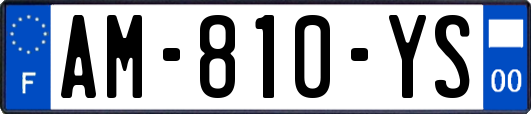 AM-810-YS