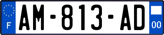 AM-813-AD