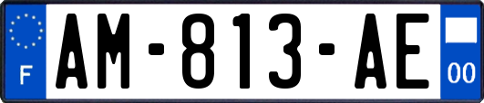 AM-813-AE