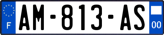 AM-813-AS