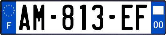 AM-813-EF