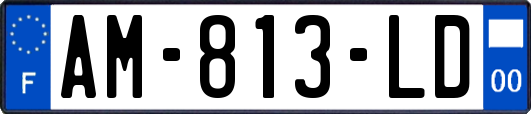 AM-813-LD