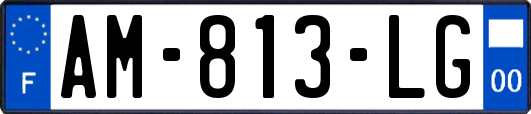AM-813-LG