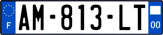 AM-813-LT