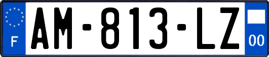 AM-813-LZ