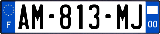 AM-813-MJ