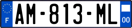 AM-813-ML