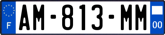 AM-813-MM