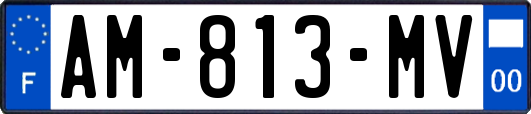 AM-813-MV