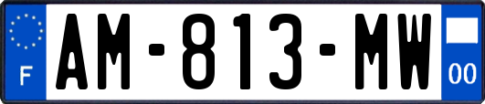 AM-813-MW