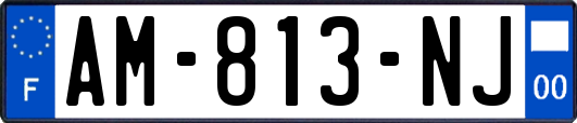 AM-813-NJ