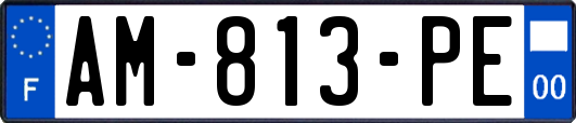 AM-813-PE
