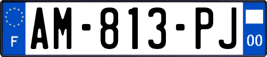 AM-813-PJ