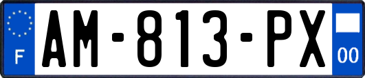 AM-813-PX