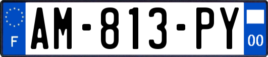 AM-813-PY