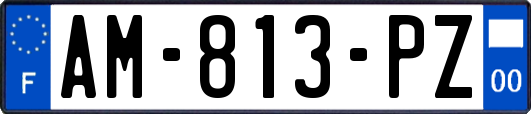 AM-813-PZ