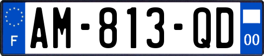 AM-813-QD