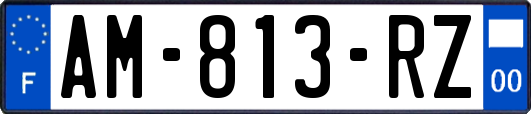 AM-813-RZ