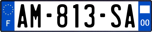 AM-813-SA