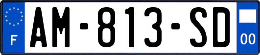 AM-813-SD