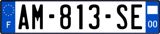 AM-813-SE