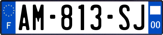 AM-813-SJ