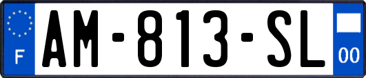 AM-813-SL