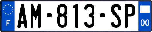 AM-813-SP