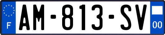 AM-813-SV