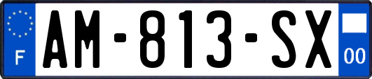 AM-813-SX