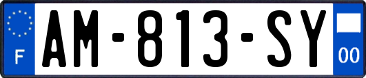 AM-813-SY